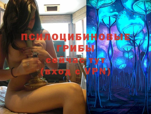 винт Баксан