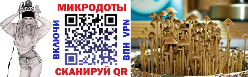 Галлюциногенные грибы прущие грибы  где можно купить наркотик  Ливны 